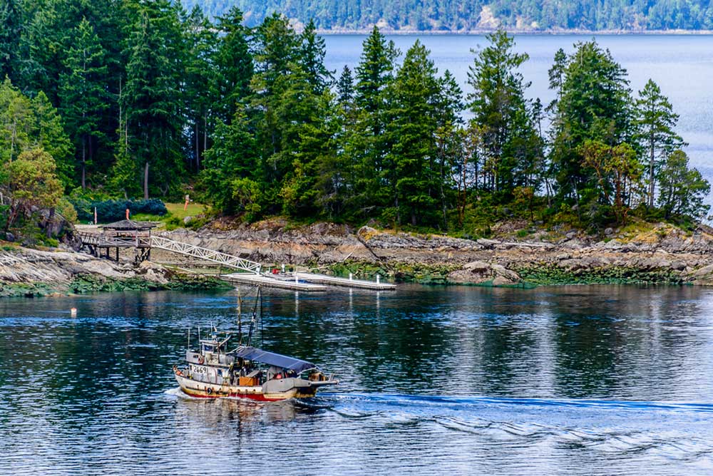 Village of Egmont West Coast Wilderness Lodge