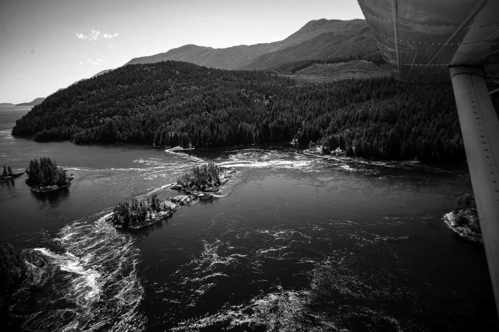 by float plane