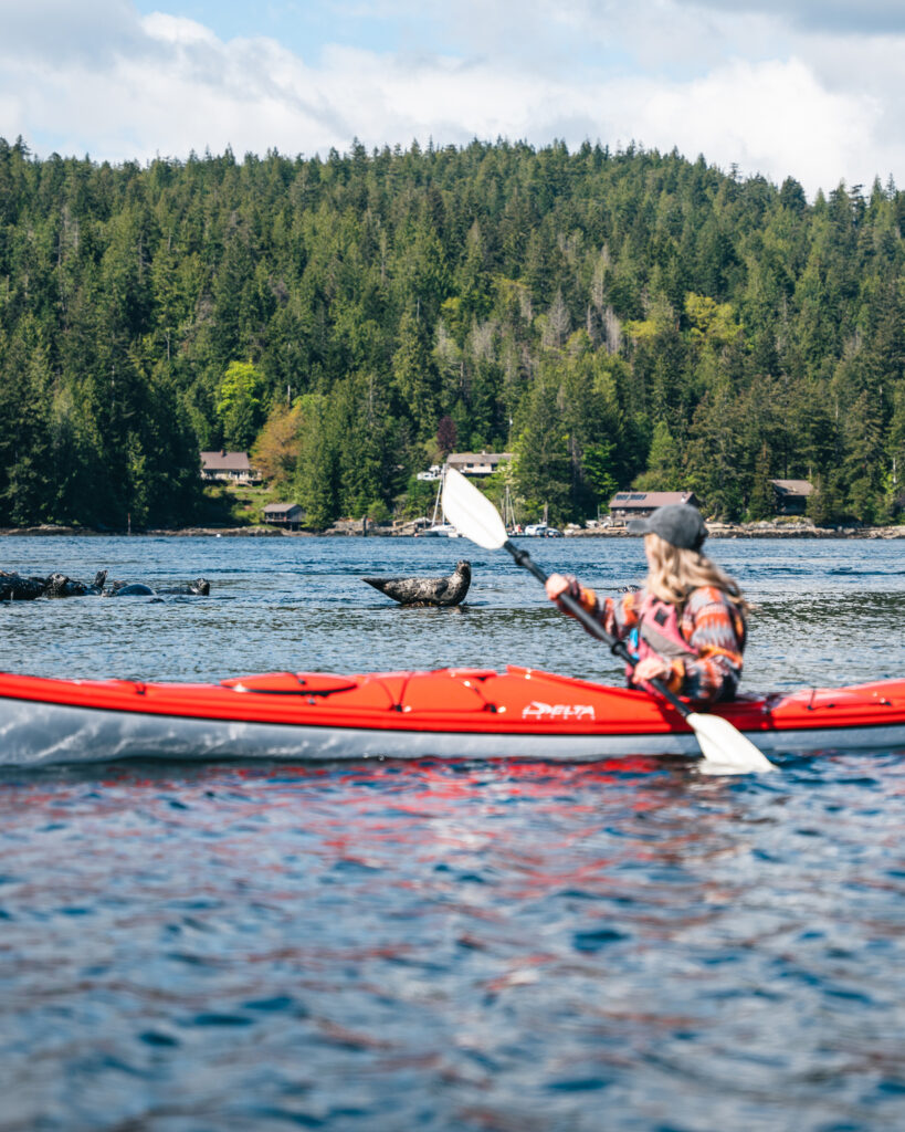 Kayaking with sea lions