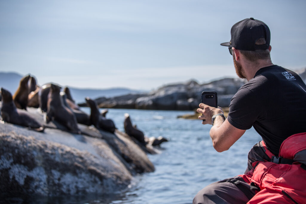 Sea Lion Tour