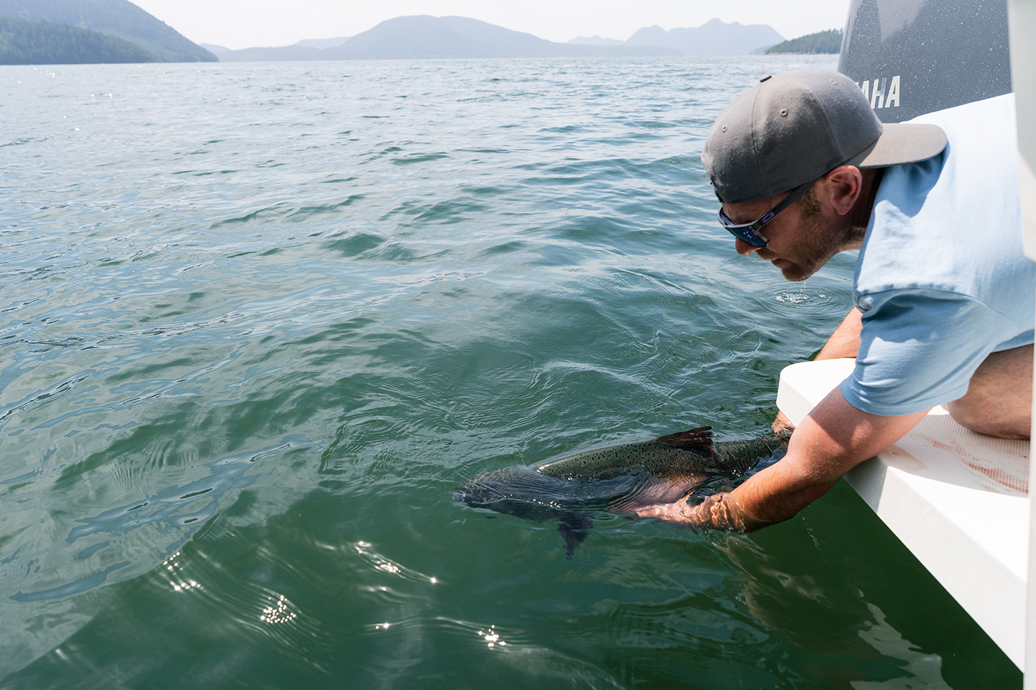 releasing the catch